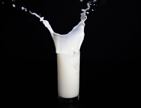 Økologisk minimælk